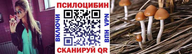 Купить  Пущино  Галлюциногенные грибы мицелий 