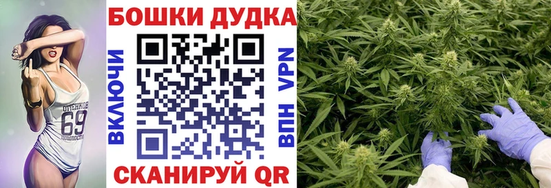 Купить  Пущино  Бошки Шишки VHQ 